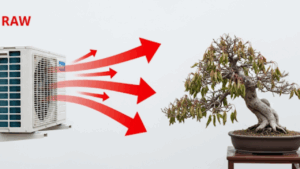 エアコン室外機から出る熱風が桜盆栽に直接当たり、葉が枯れてしまっている状況を矢印で分かりやすく示したイラスト。