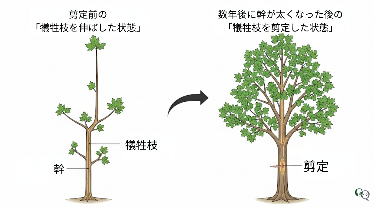 犠牲枝の仕組み