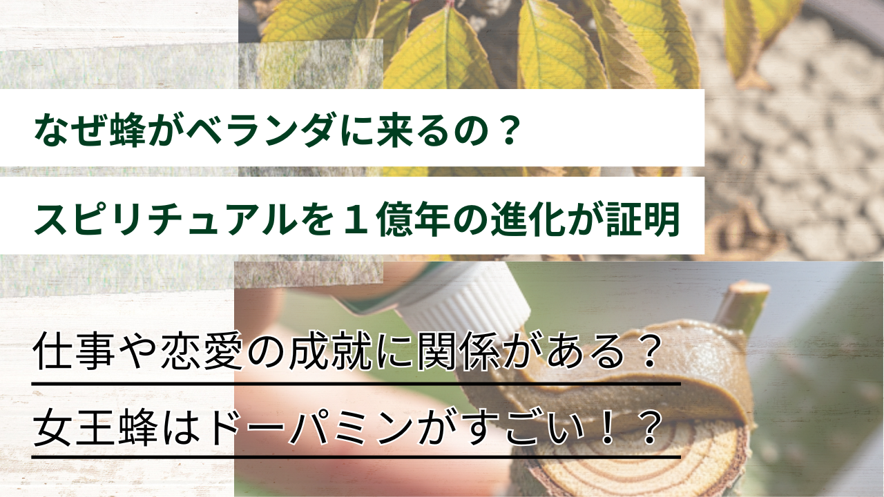 仕事や恋愛の成就に関係がある？ 女王蜂はドーパミンがすごい！？ なぜ蜂がベランダに来るの？ スピリチュアルを１億年の進化が証明