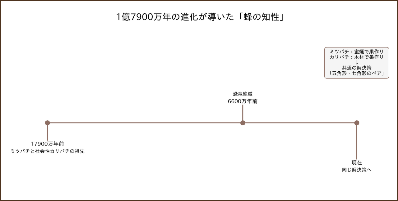 1億7900万年に共通の祖先から分岐したミツバチとカリバチが、現在同じ巣作りの問題解決策を持つに至った進化のタイムライン
