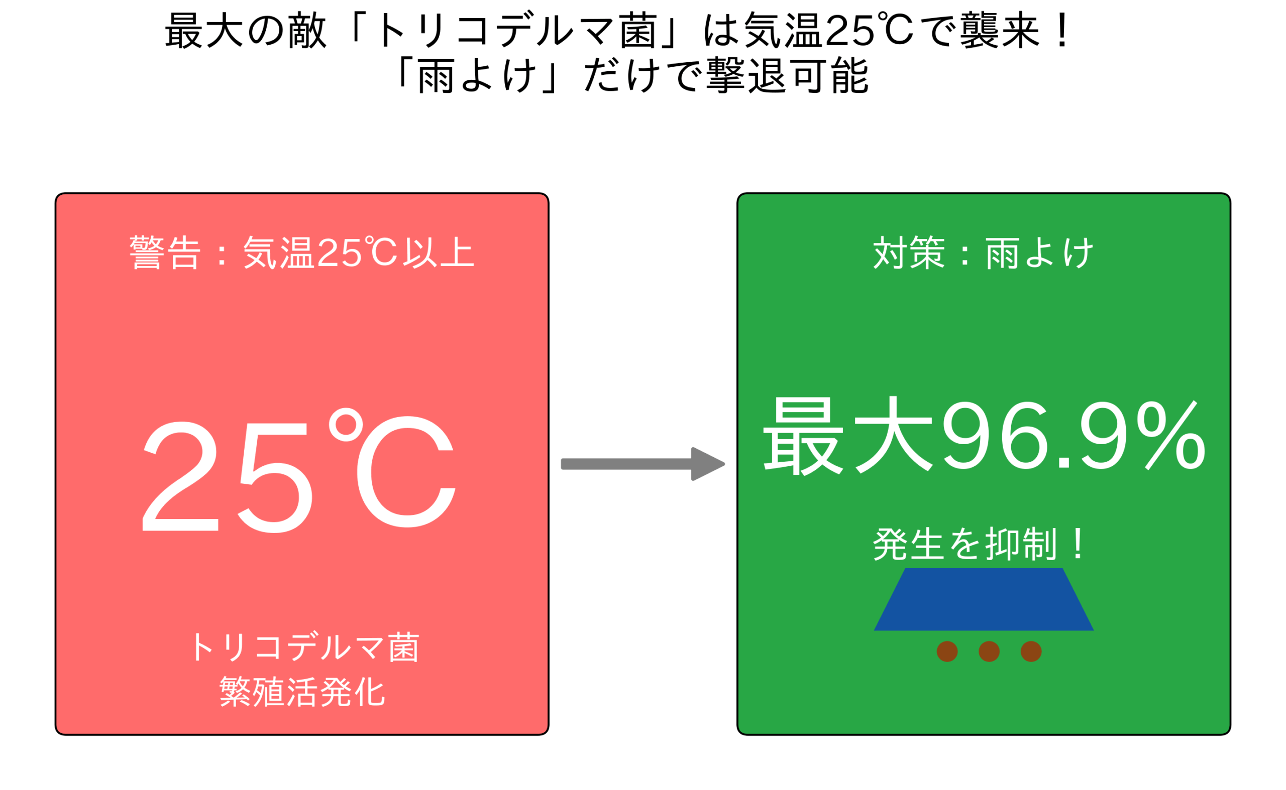 トリコデルマ菌のリスクと対策を示すインフォグラフィック。左の赤いカードに「警告:気温25℃以上」、右の緑のカードに「対策:雨よけ 最大96.9%発生を抑制!」と書かれている。